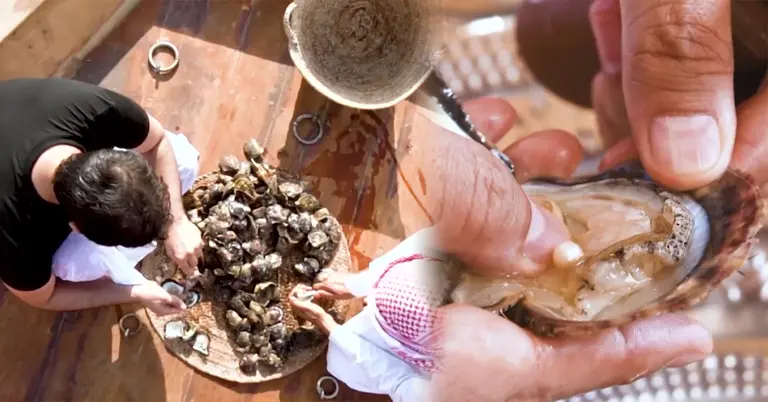 আমিরাতে ঐতিহ্যবাহী মুক্তার শিল্প দেখতে ভিড় করছেন দর্শনার্থীরা